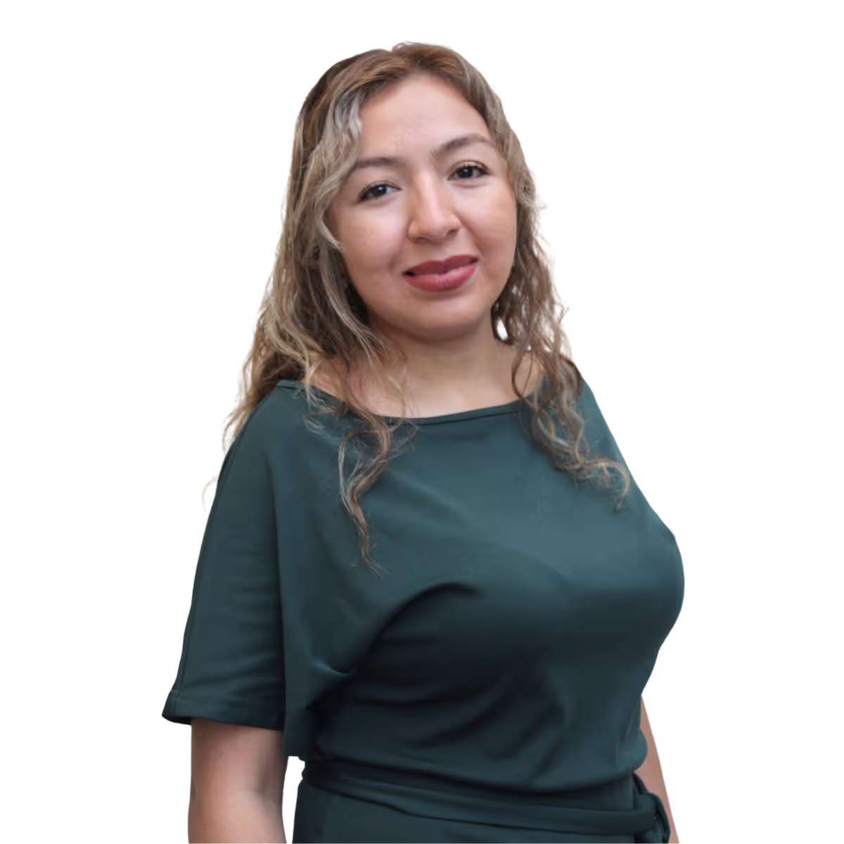 Consultor RAMFER